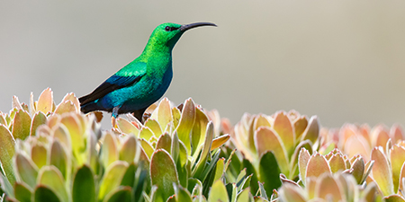 Quadrant Gardens Retirement - DISCOVER AN UNRIVALLED LOCATION