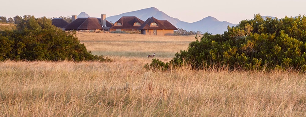 Gondwana Game Reserve in Gondwana Game Reserve, South Africa Gondwana Game Reserve in Gondwana Game Reserve, South Africa