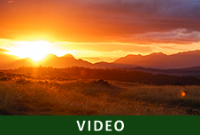 Gondwana Game Reserve - Gondwana Game Reserve 