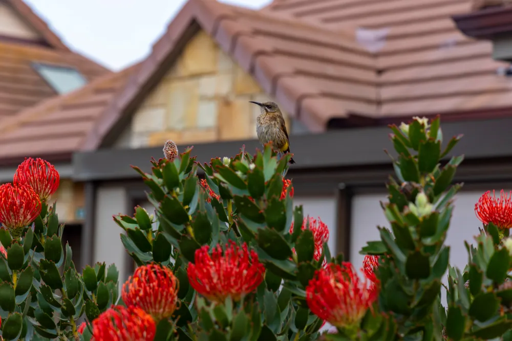 Mossel Bay Retirement & Lifestyle Village in Paradise Coast, South Africa