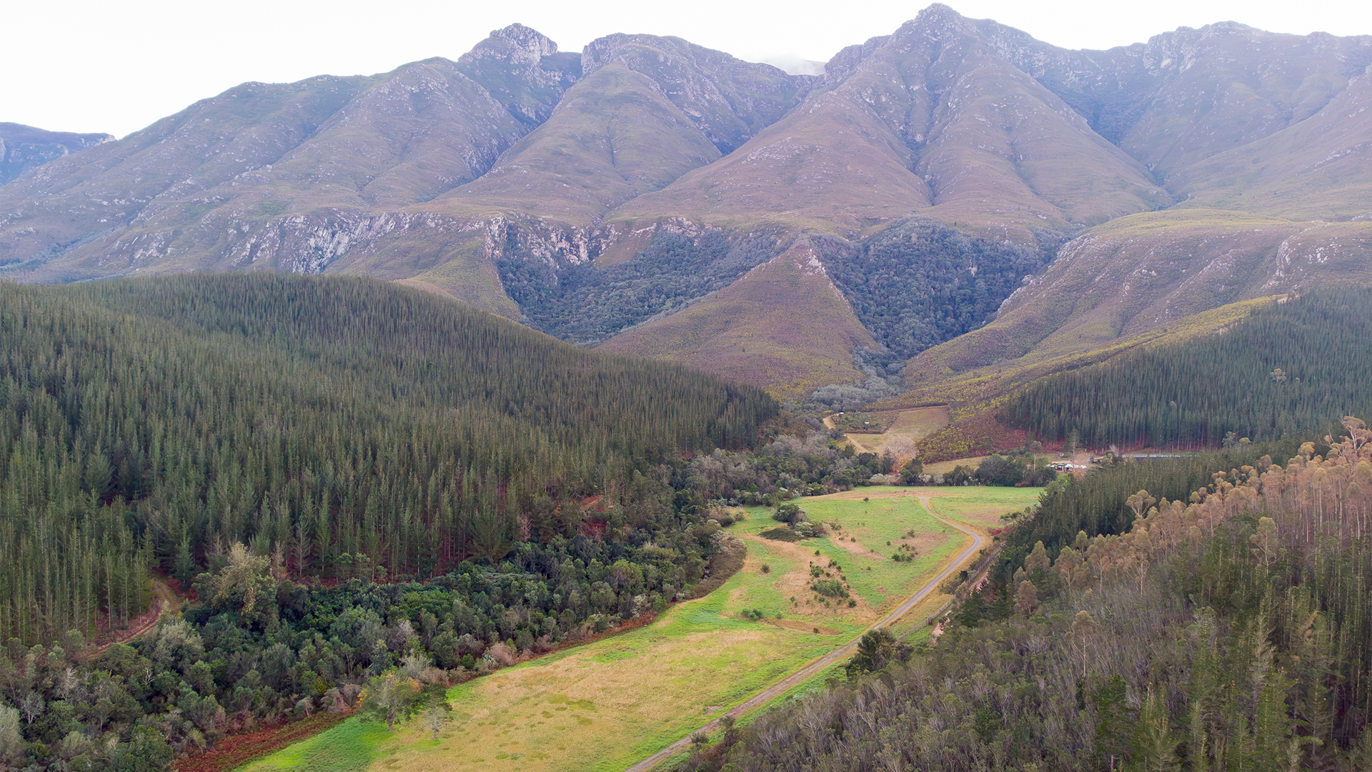 Featured image of the property