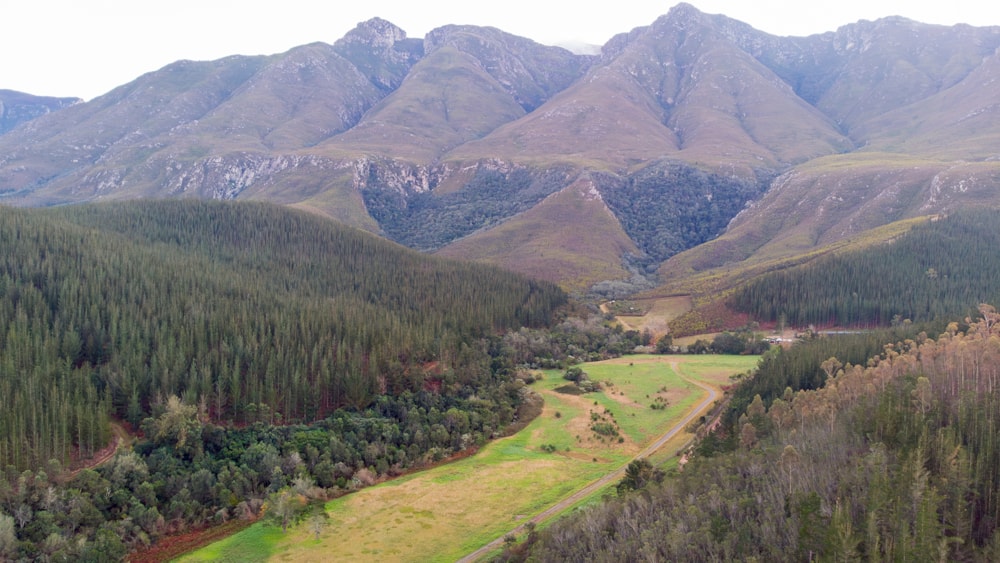 Gaikou Estate in Swellendam, South Africa Gaikou Estate in Swellendam, South Africa
