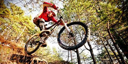 The Niche - Hiking and cycling