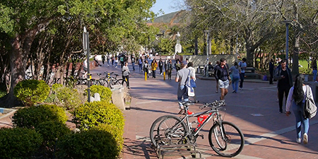 The Niche - Stellenbosch University