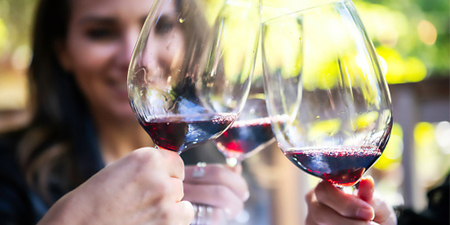 The Niche - Wining and dining