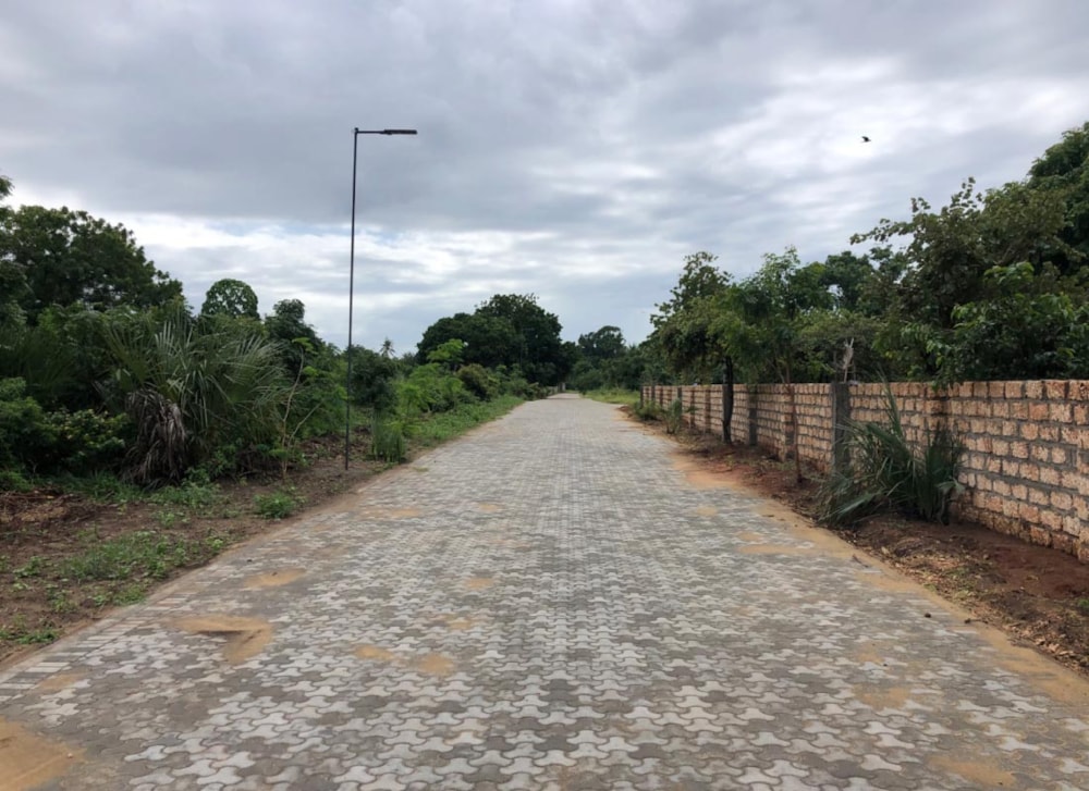 The Shamba Kuruwitu in Vipingo, Kenya The Shamba Kuruwitu in Vipingo, Kenya