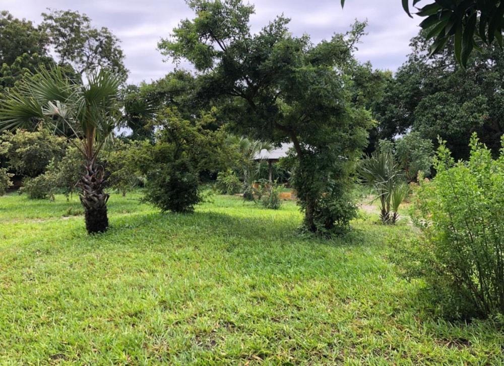 The Shamba Kuruwitu in Vipingo, Kenya The Shamba Kuruwitu in Vipingo, Kenya