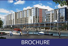 The Yacht Club - The Yacht Club 