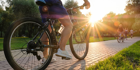 The Ilex at Newinbosch - A Dual Carriageway The Ilex at Newinbosch - A Dual Carriageway