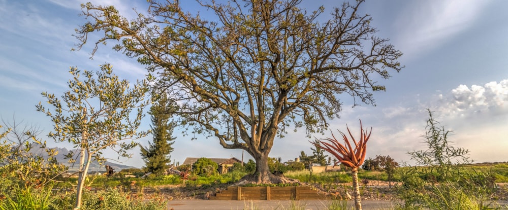 Longlands Estate in Stellenbosch, South Africa