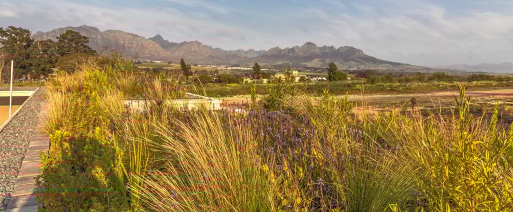 Longlands Estate in Stellenbosch, South Africa