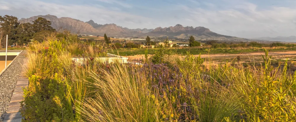Longlands Estate in Stellenbosch, South Africa Longlands Estate in Stellenbosch, South Africa