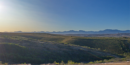 Renosterbos Estate - Family Designer Stands