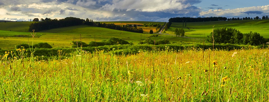 Giants View Estate, new build development in Rosetta, Midlands (Rural), Midlands, KwaZulu-Natal, South Africa Giants View Estate, new build development in Rosetta, Midlands (Rural), Midlands, KwaZulu-Natal, South Africa