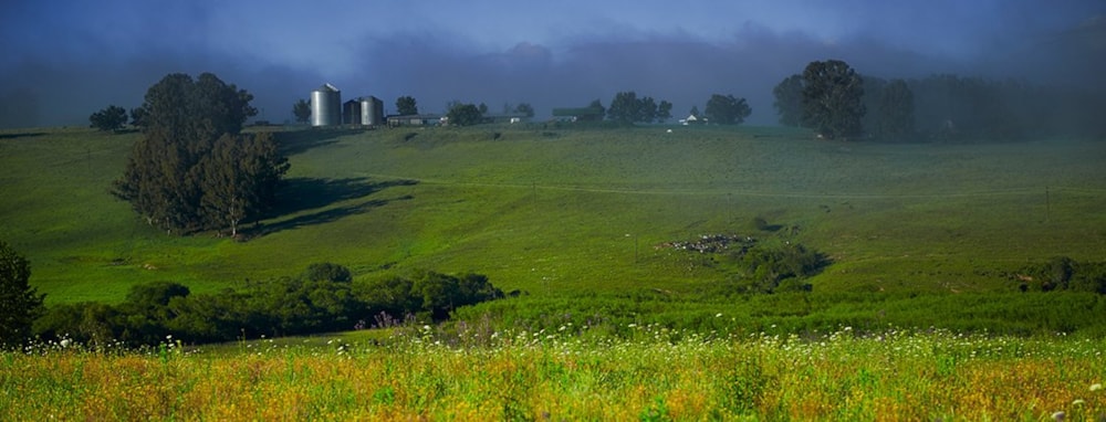 Giants View Estate in Rosetta, South Africa Giants View Estate in Rosetta, South Africa