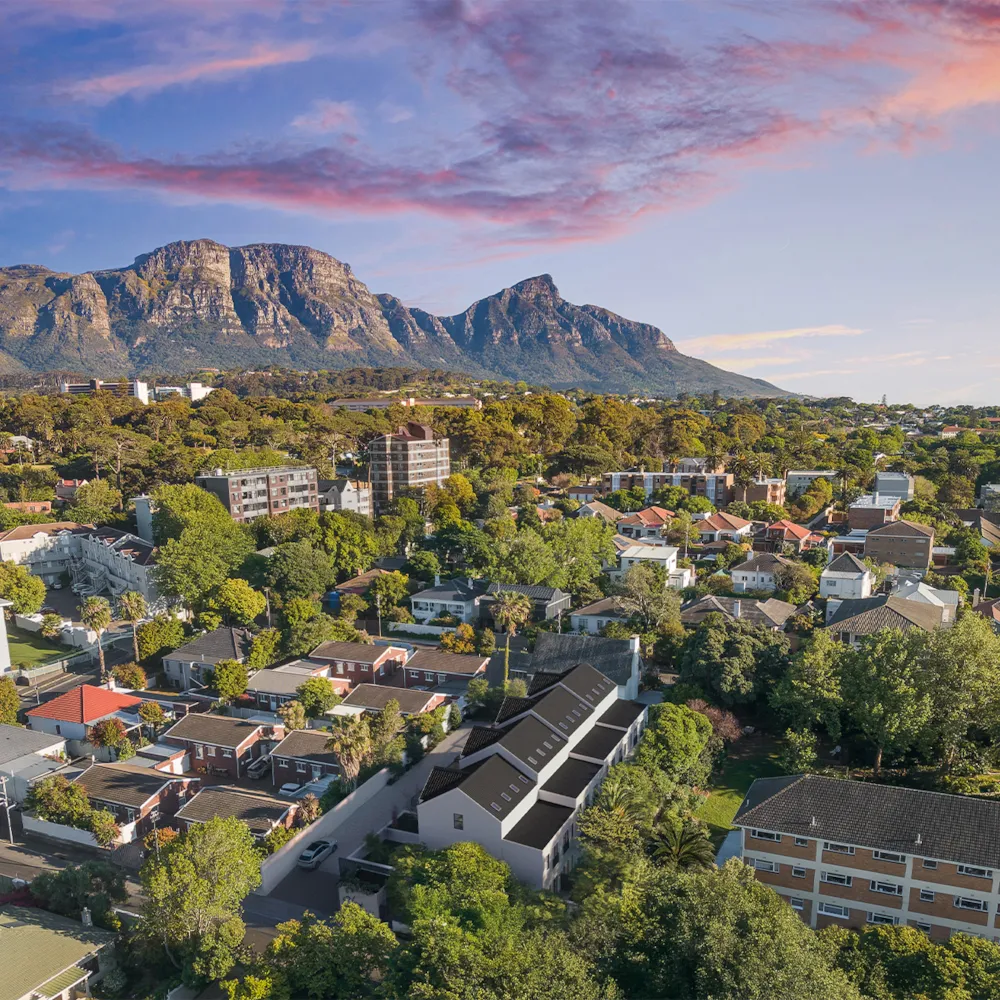 Elevé in Wynberg Upper, South Africa