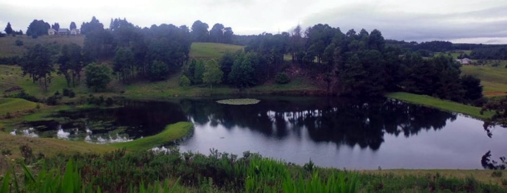 Eaglecrest Wildlife Estate in Midlands, South Africa Eaglecrest Wildlife Estate in Midlands, South Africa