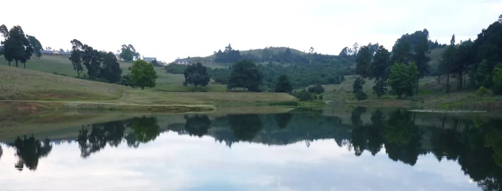 Eaglecrest Wildlife Estate in Midlands, South Africa