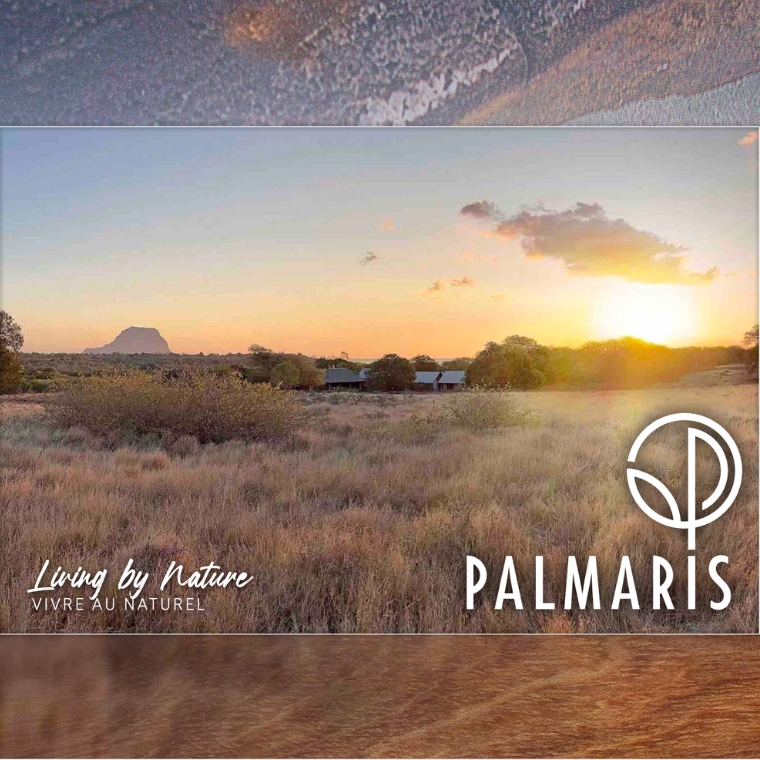Palmaris - Brochure Palmaris - Brochure