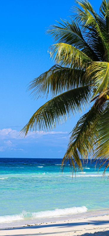 Coastal lifestyle properties for sale